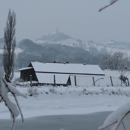 Bauernhof Flucher-Plaschg Straden Exterior foto